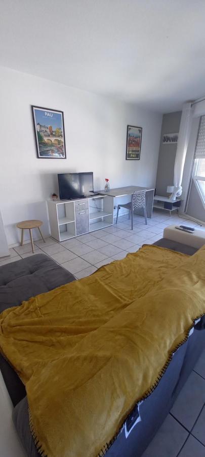 Le Petit Loup Palois - Terrasse & Wifi Fibre Apartment Pau Exterior photo